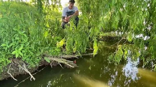 پرتاب ماهیگیر توسط ماهی بزرگ به داخل دریاچه! پرتاب ماهیگیر به وسیله ماهی عظیم به داخل دریاچه!