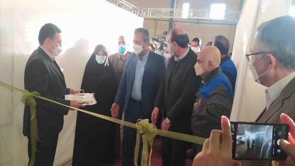 ظرفیت فراوری 250 واگن در سال را داریم