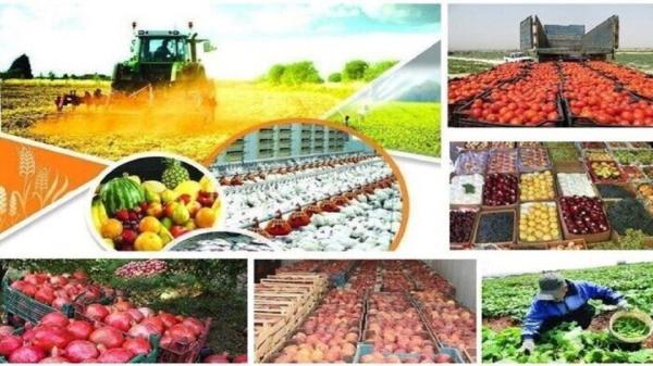 ظرفیت فراوری صنایع کشاورزی و غذایی خاش به 96هزار تن رسید